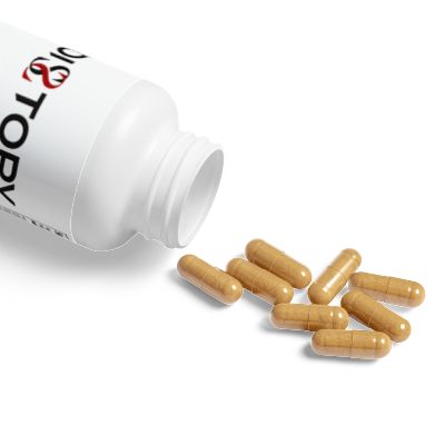 Mushroom Blend Supplement (60 Capsules)